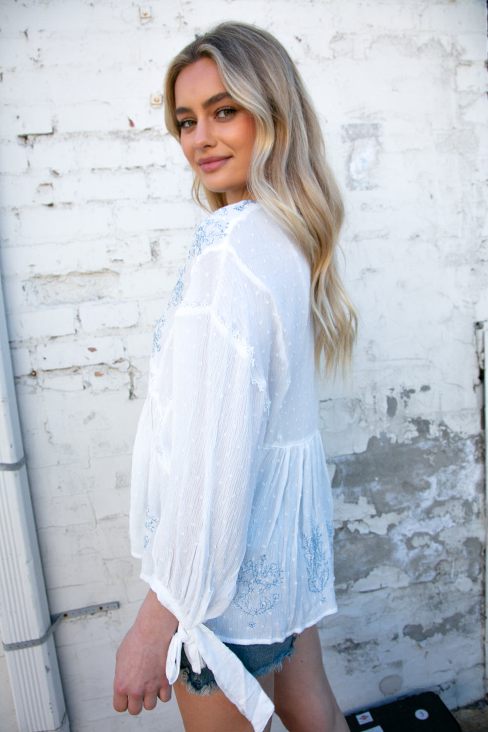 White V Neck Embroidered Crochet Lace Swiss Dot Top